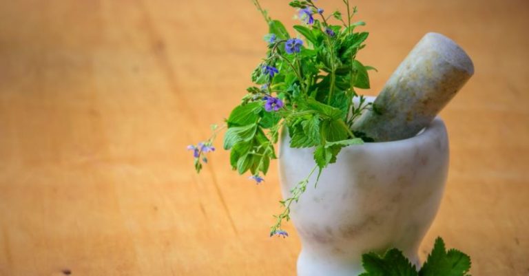 Healing - Purple Petaled Flowers in Mortar and Pestle