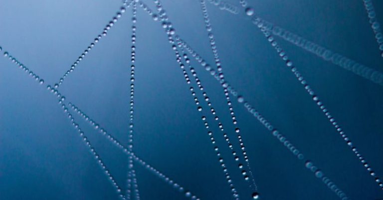 Connections - Connected Water Dot Illustration