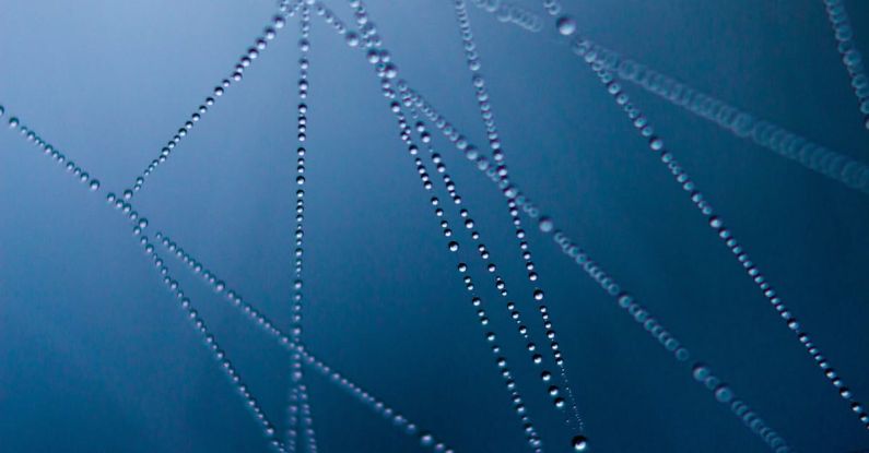 Connections - Connected Water Dot Illustration